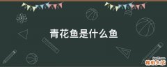 青花鱼是什么鱼