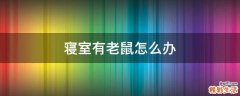 寝室有老鼠怎么办
