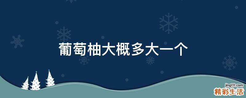 葡萄柚大概多大一个