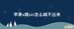 苹果x嘿siri怎么喊不出来