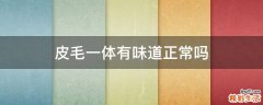 皮毛一体有味道正常吗