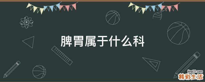 脾胃属于什么科