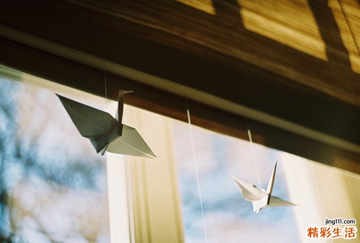 4 地草果