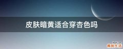 皮肤暗黄适合穿杏色吗