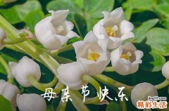 2023年母亲节祝福语汇编41条