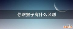 你跟猴子有什么区别