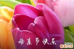 2023年精选母亲节祝福问候语大汇总52句