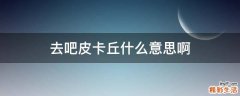 去吧皮卡丘什么意思啊