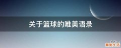 关于篮球的唯美语录