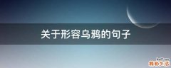 关于形容乌鸦的句子