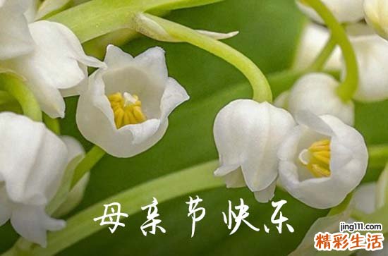 2023年精选温馨母亲节祝福语大集合56句