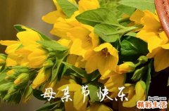 2023暖心母亲节QQ祝福语锦集39条