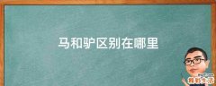 马和驴区别在哪里