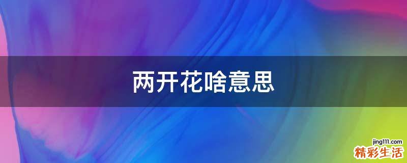 两开花啥意思