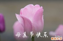 2023年精选母亲节祝福问候语合集30条