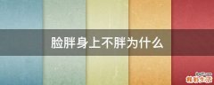 脸胖身上不胖为什么