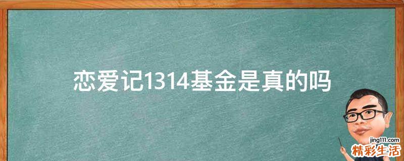 恋爱记1314基金是真的吗