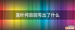 莲叶何田田写出了什么