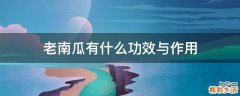 老南瓜有什么功效与作用