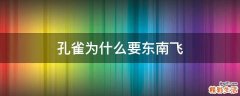孔雀为什么要东南飞