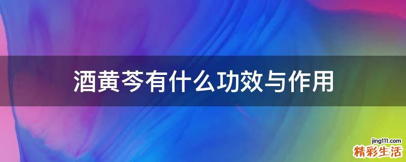 酒黄芩有什么功效与作用