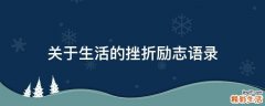 关于生活的挫折励志语录