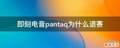 即刻电音pantaq为什么退赛