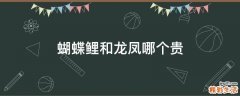 蝴蝶鲤和龙凤哪个贵