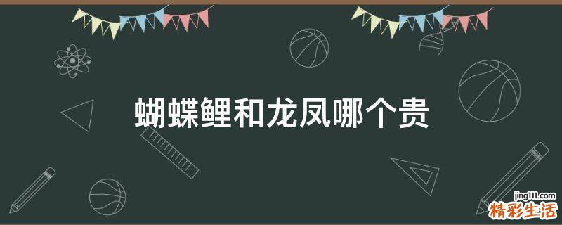 蝴蝶鲤和龙凤哪个贵