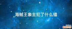 海贼王象主犯了什么错