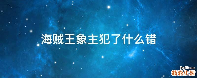 海贼王象主犯了什么错
