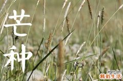 2023年芒种是农历几月 2023芒种的特点