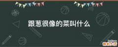 跟葱很像的菜叫什么