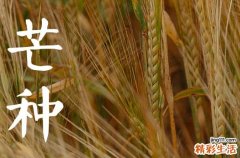 2023年芒种时间几点几分几秒 2023芒种是哪一天的什么时候