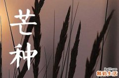 今年芒种是几月几日几点交节2023 芒种后九天交运怎么算