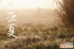 2023年夏天是最热的一年吗 夏天很热怎么办