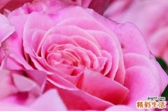 2023年5月20日是什么日子 2023年5月20日是天赦日吗