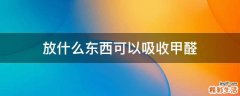 放什么东西可以吸收甲醛