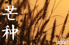 2023年芒种后第九天是哪一天 2023年芒种后九天交运怎么算