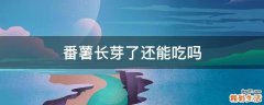 番薯长芽了还能吃吗