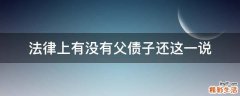 法律上有没有父债子还这一说