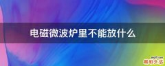 电磁微波炉里不能放什么