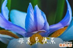 2023年感人母亲节微信祝福语集锦49条
