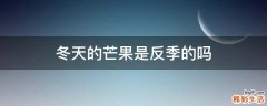 冬天的芒果是反季的吗