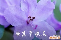 2023年母亲节感人祝愿语