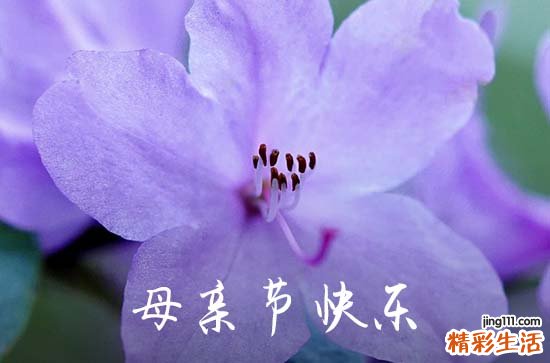 2023年母亲节感人祝愿语