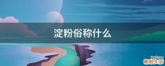 淀粉俗称什么