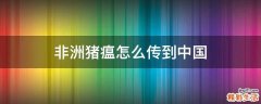 非洲猪瘟怎么传到中国