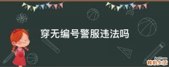 穿无编号警服违法吗