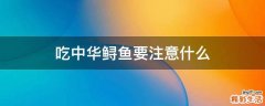 吃中华鲟鱼要注意什么